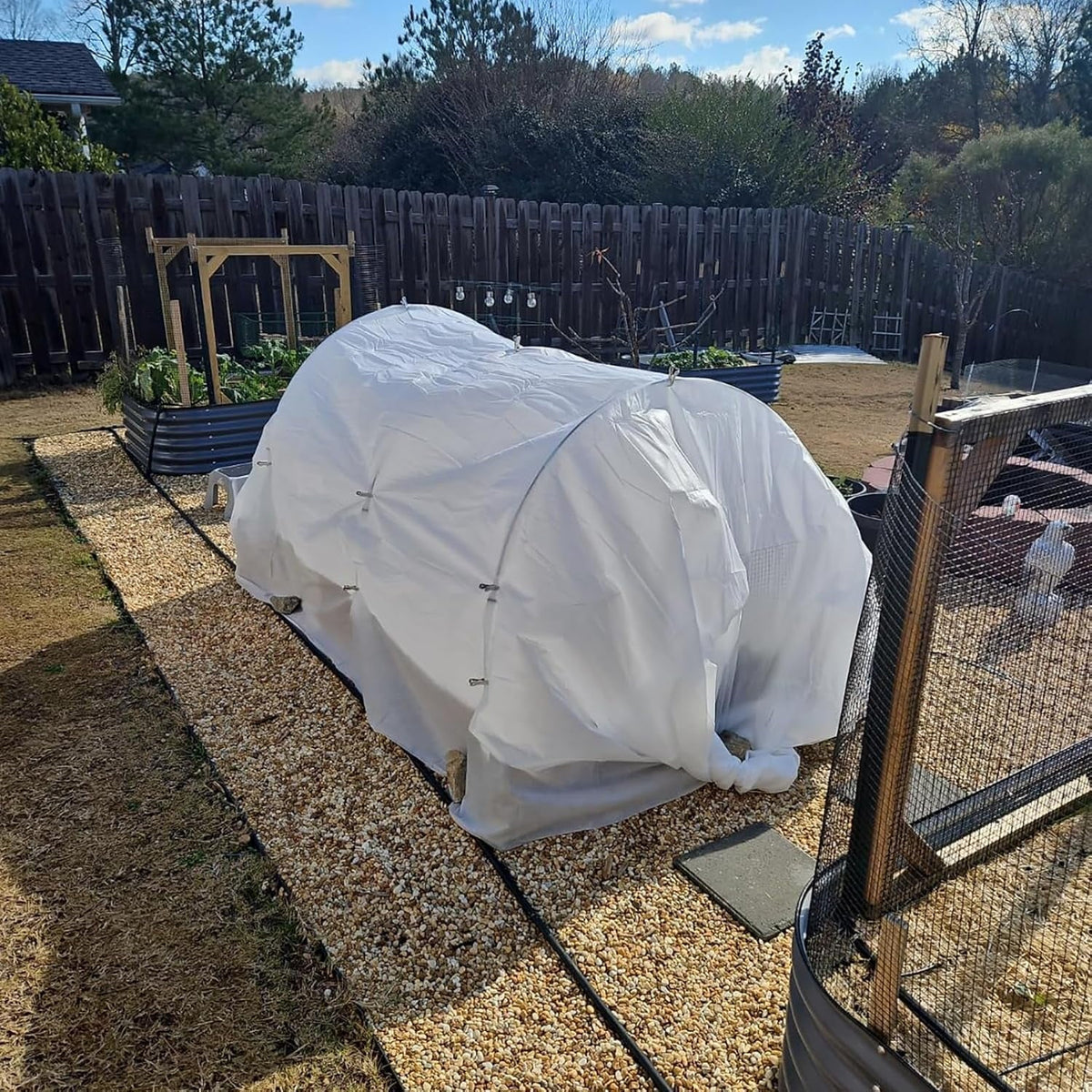 Fiberglass garden hoops: covered hoops over raised bed.