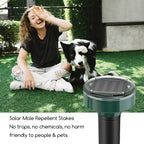 Solar mole repellent stakes: solar stake beside lawn.