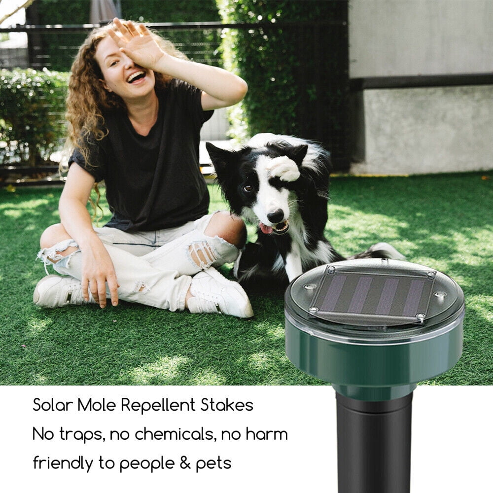Solar mole repellent stakes: solar stake beside lawn.