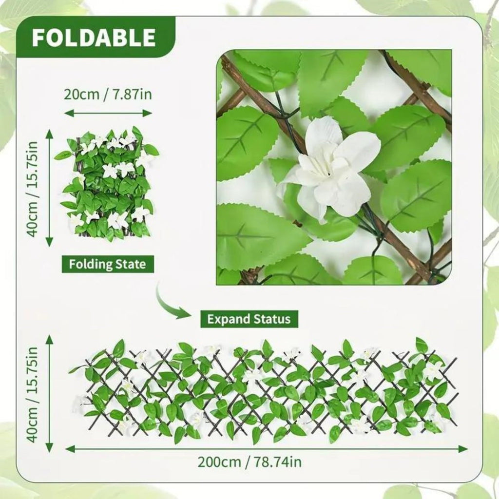 Expandable ivy privacy fence: folded and expanded trellis dimensions.