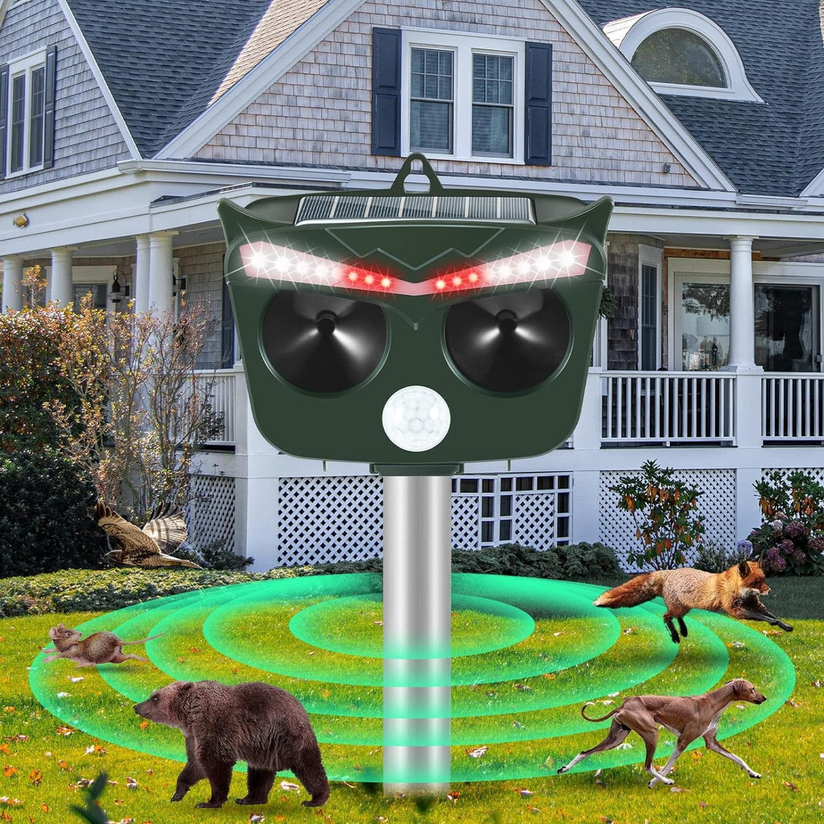 Jinyi solar animal repeller: repeller outside a house.