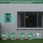 Solar bird deterrent: deterrent mounted on exterior wall.