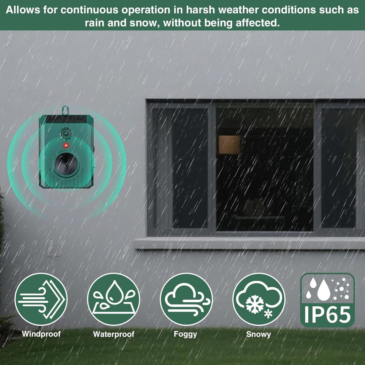 Solar bird repeller: deterrent mounted on exterior wall.