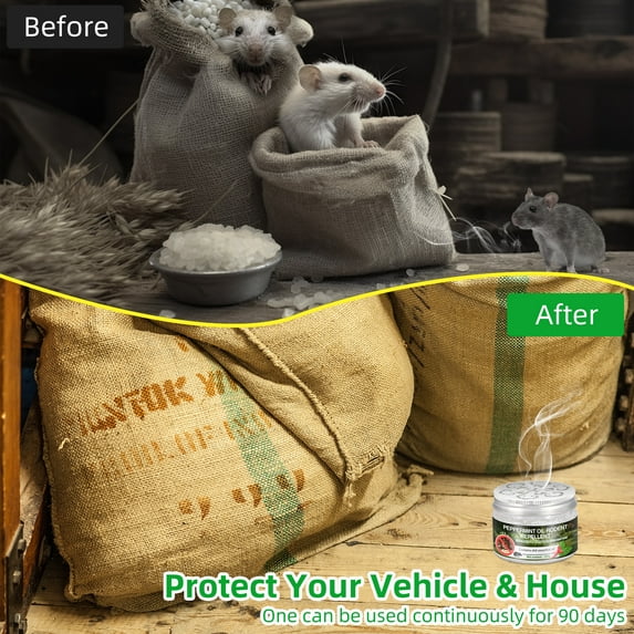 Peppermint rodent repellent jars: rodent activity before-and-after artwork.