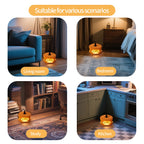 Indoor electric flea trap: trap placement in indoor rooms.
