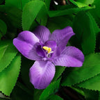Expandable ivy privacy trellis: purple flower and green leaves close-up.