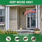 Rodent repellent balls: repellent placement beside house.