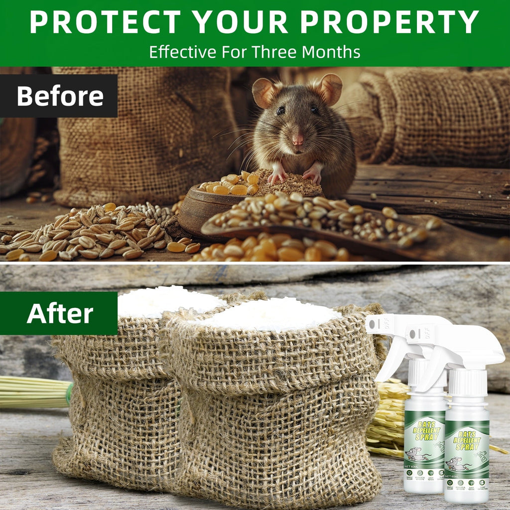 Peppermint rodent repellent spray: property before-and-after artwork.