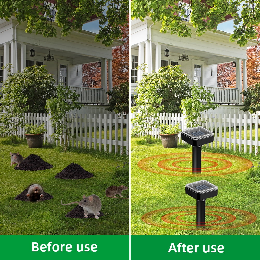 Solar vole deterrent stakes: lawn before-and-after artwork.