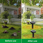 Solar vole deterrent stakes: lawn before-and-after artwork.