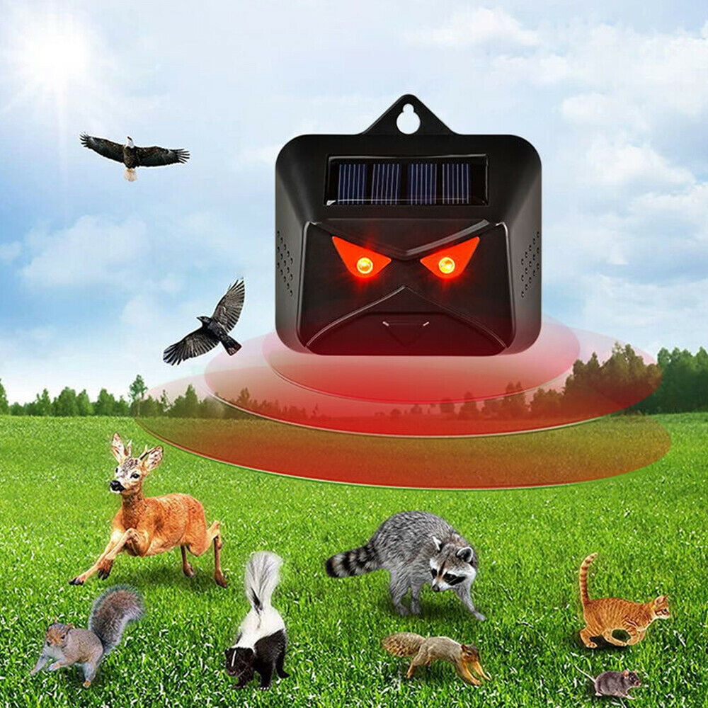 Solar red light animal deterrent: red-light deterrence illustration.
