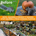 Squirrel repellent pouches: garden placement before-and-after artwork.