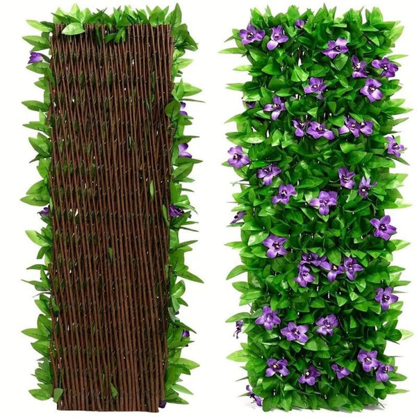 Expandable Ivy Privacy Trellis with Purple Flowers