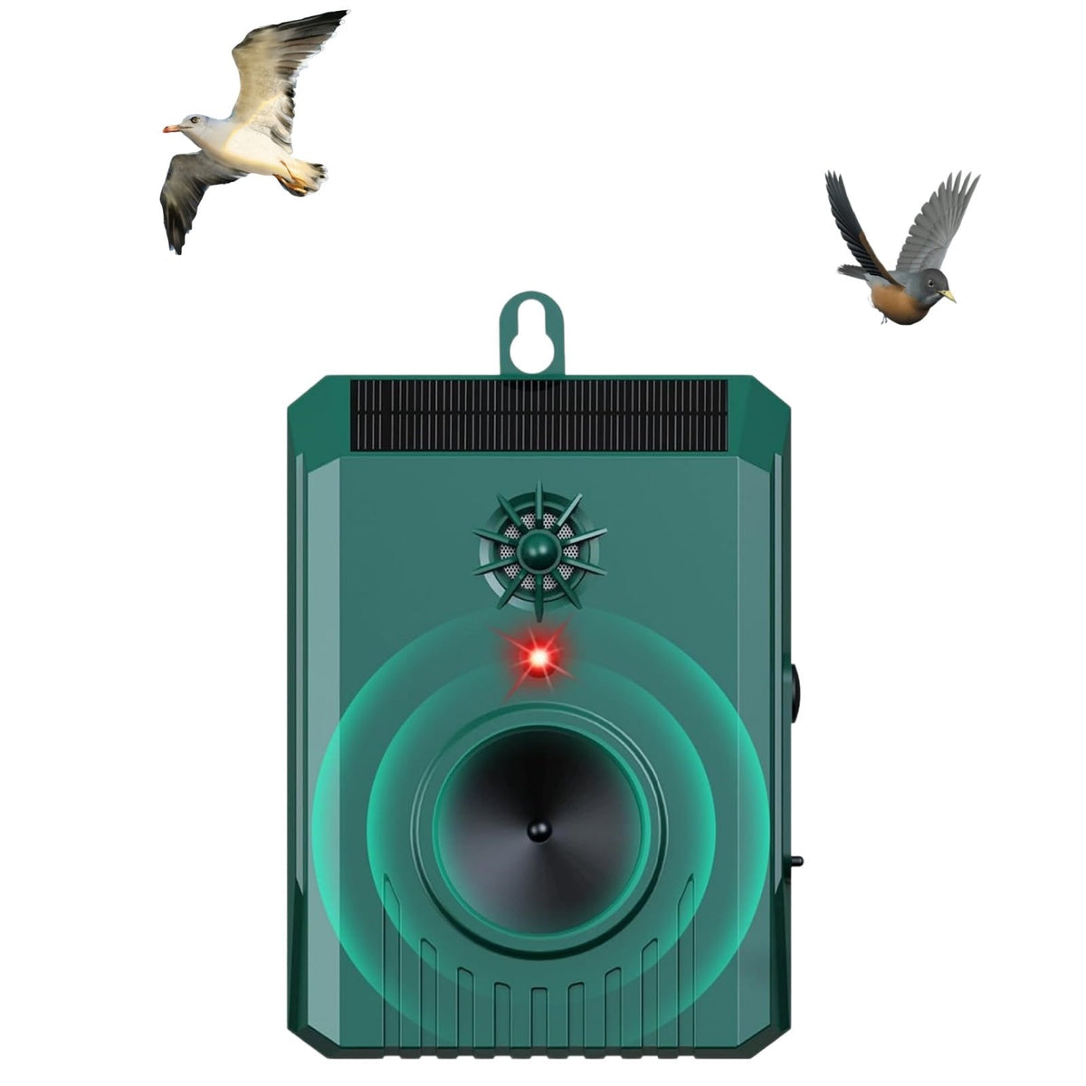 Solar bird repeller: green bird deterrent with top solar panel.