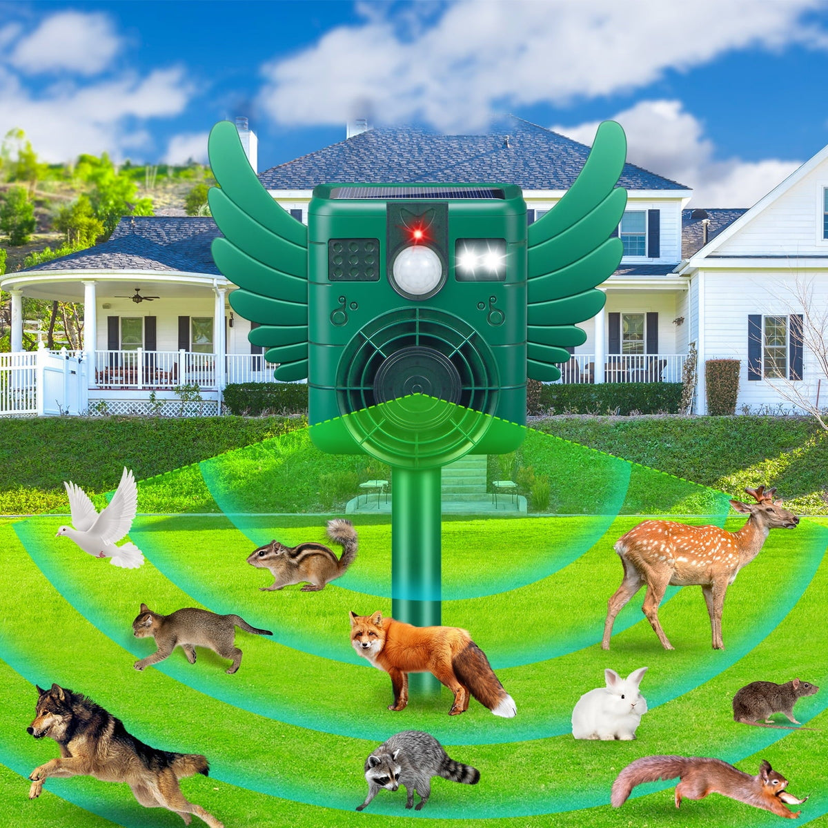 Motion sensor animal repeller: motion detection illustration.