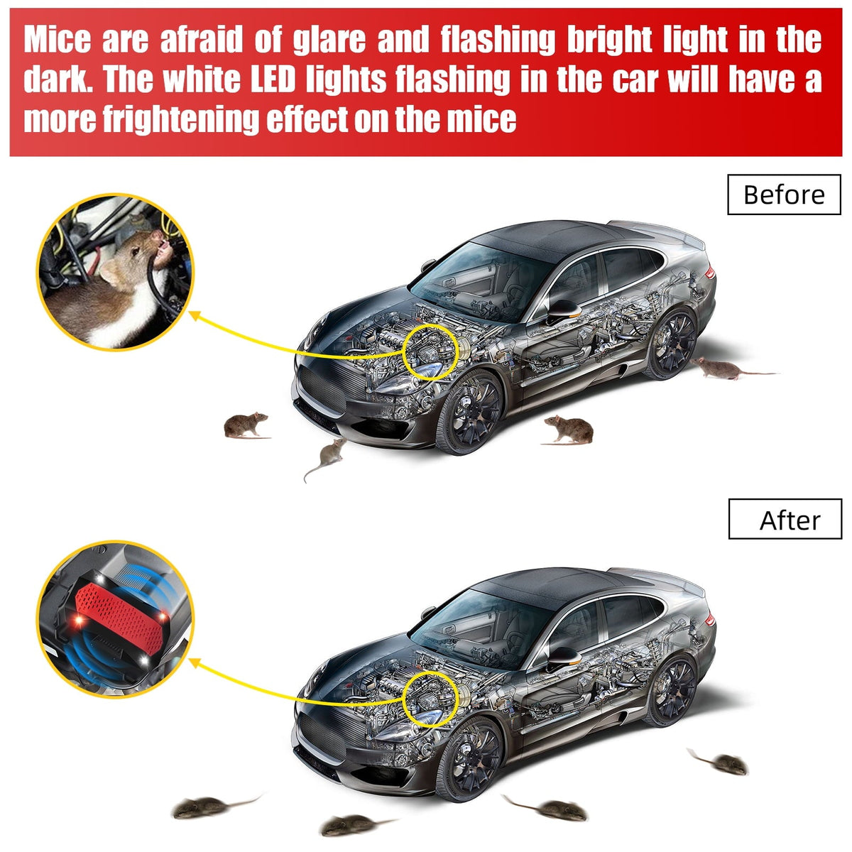 Vehicle rodent repeller: vehicle before-and-after artwork.