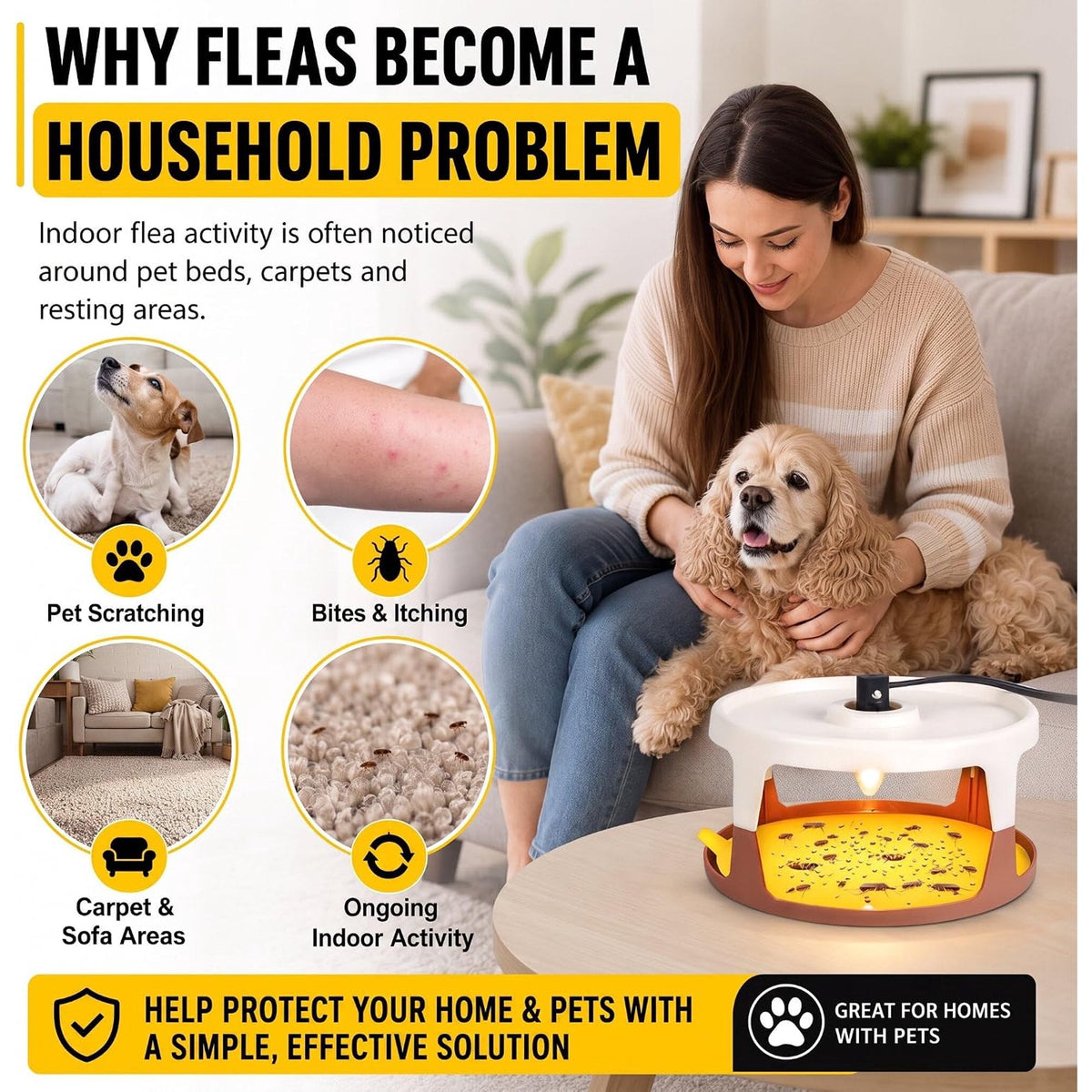 Indoor flea light trap: indoor flea activity and trap placement illustration.