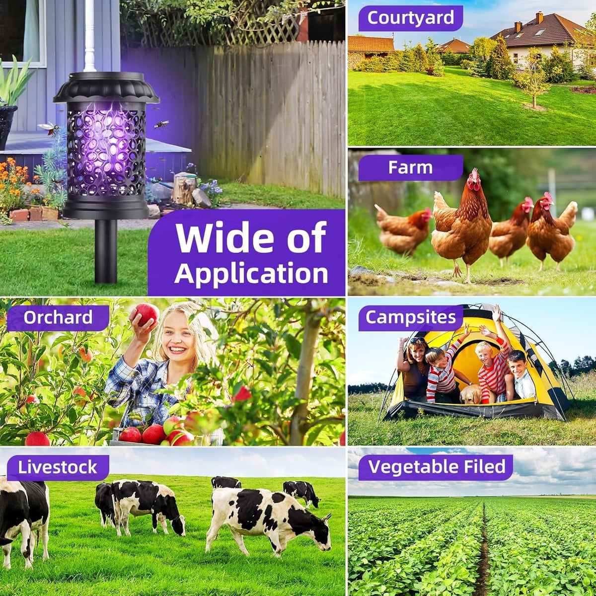 Solar bug zapper lantern: courtyard orchard and camping examples.