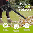Cordless leaf blower vacuum: blower used on fallen leaves.