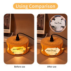 Indoor electric flea trap: adhesive insert before-and-after illustration.