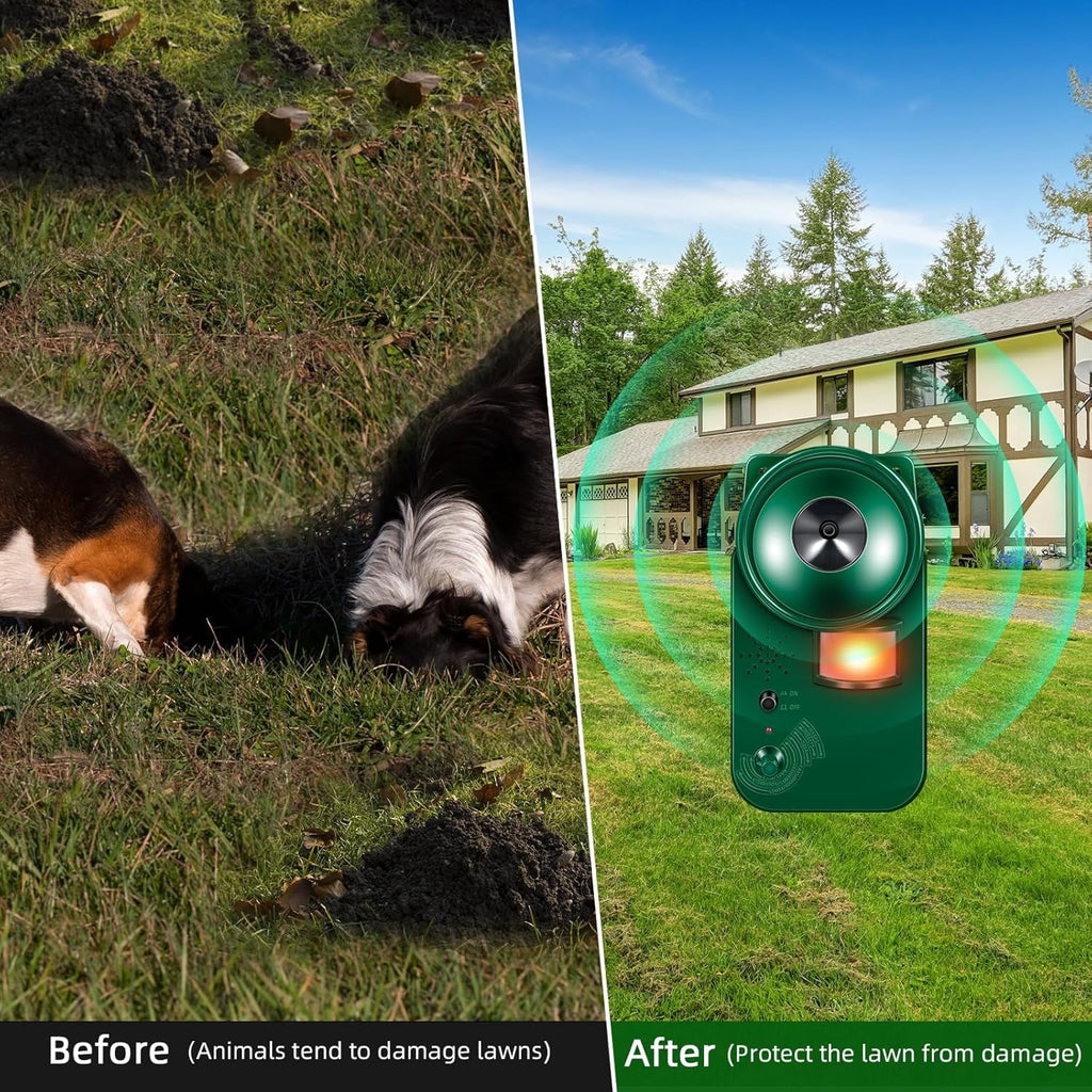 Motion activated bird deterrent: garden before-and-after artwork.